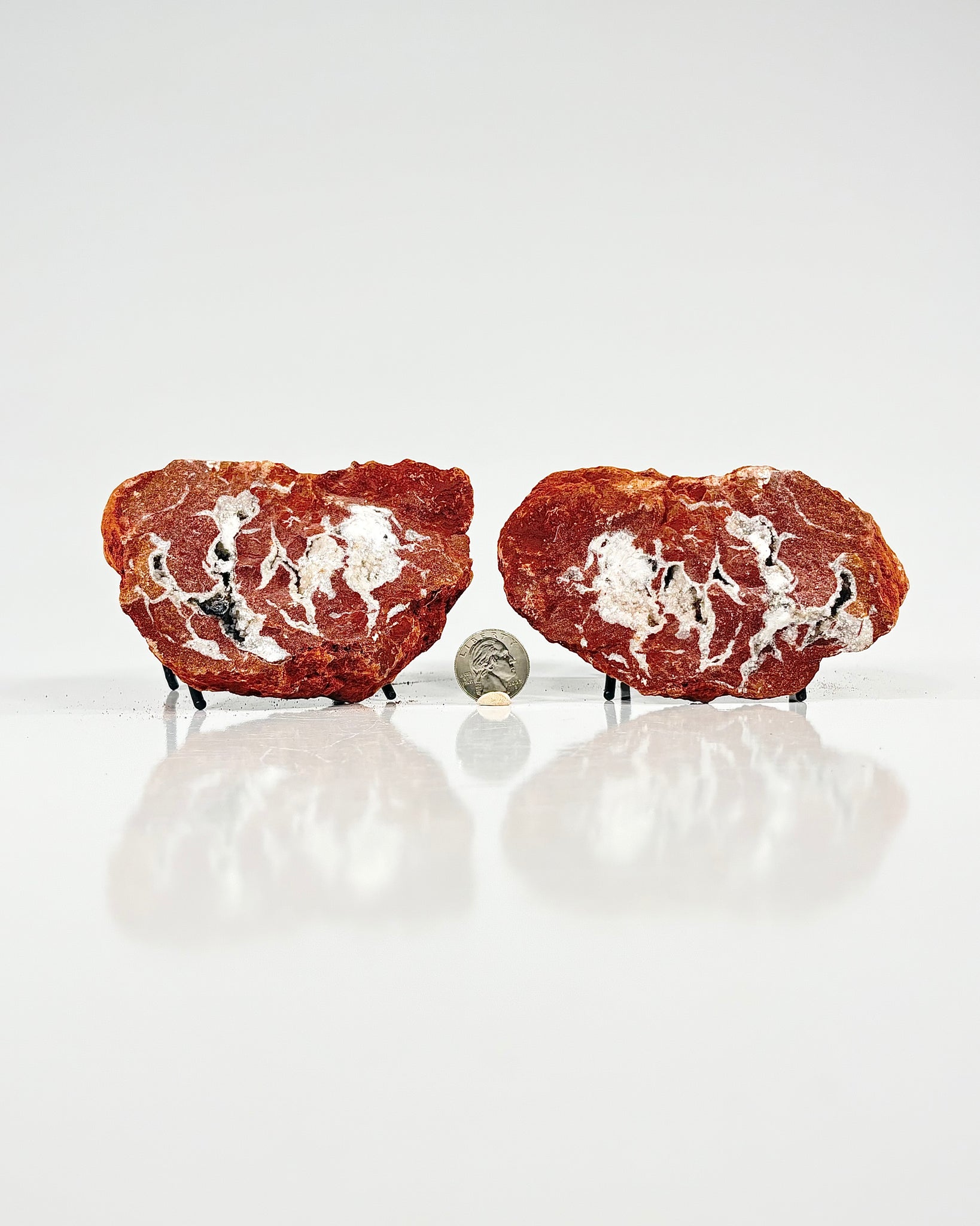 Mangano "OMGites" (OK Mud Balls) Pair
