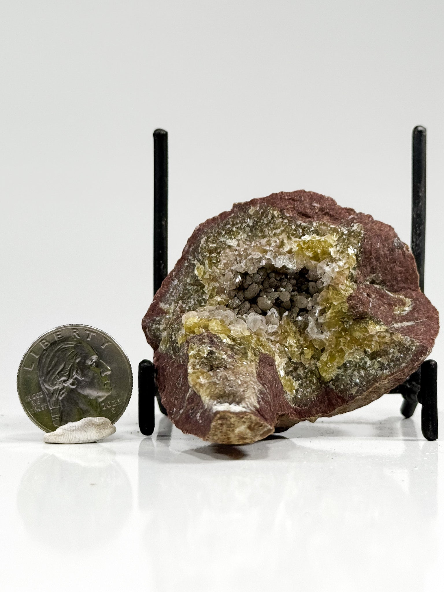 Cherry Mangano “OMGites” (OK Mud Balls)