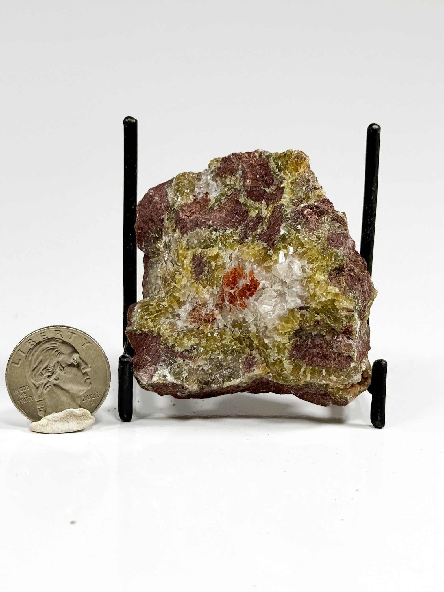 Cherry Mangano “OMGites” (OK Mud Balls)