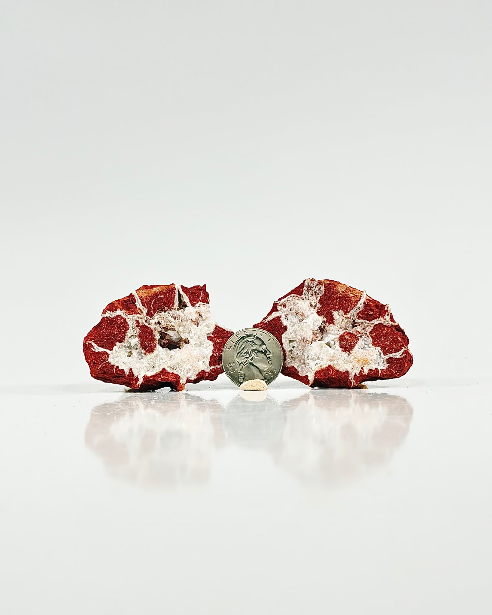 Mangano "OMGites" (OK Mud Balls) Pair