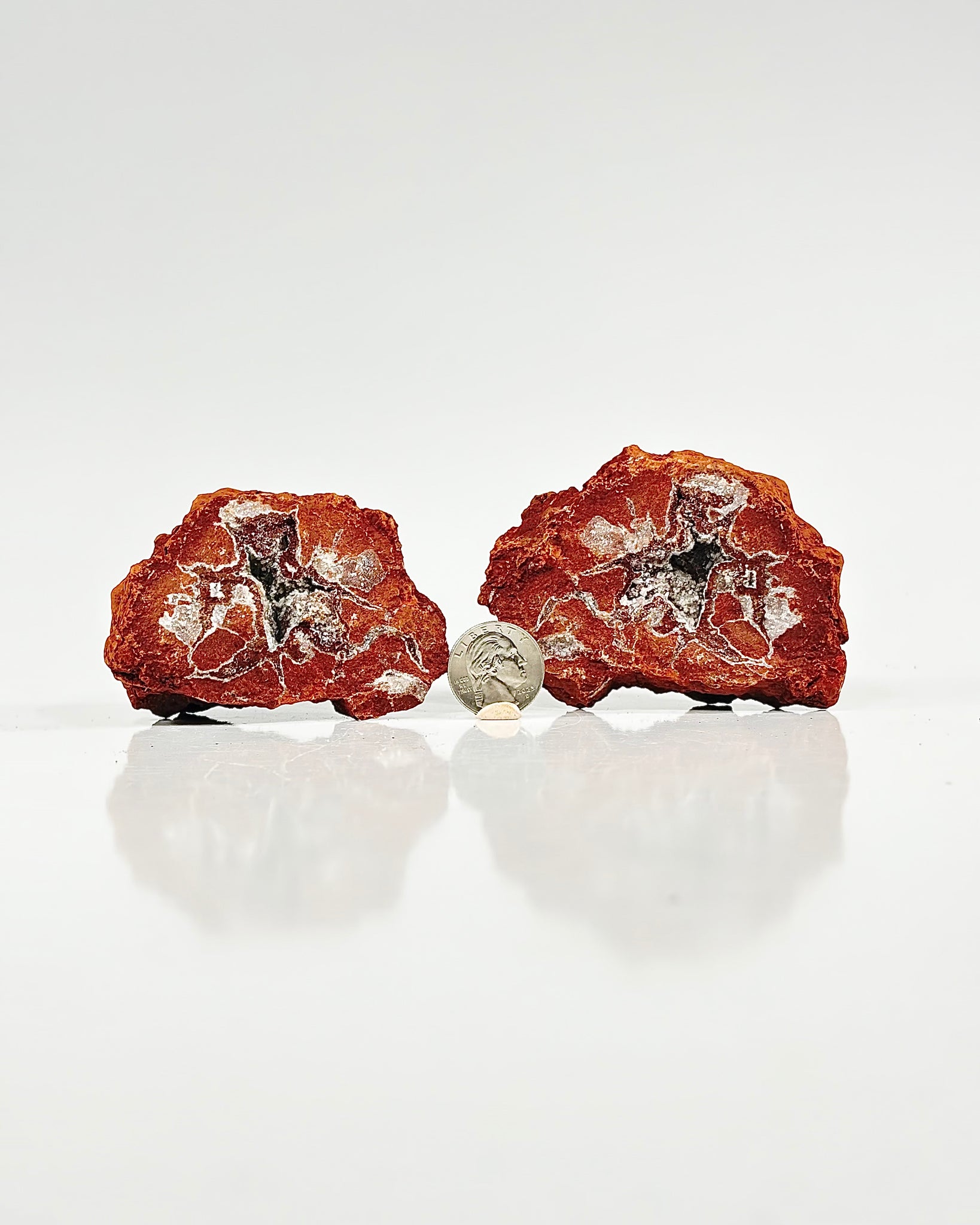 Mangano "OMGites" (OK Mud Balls) Pair