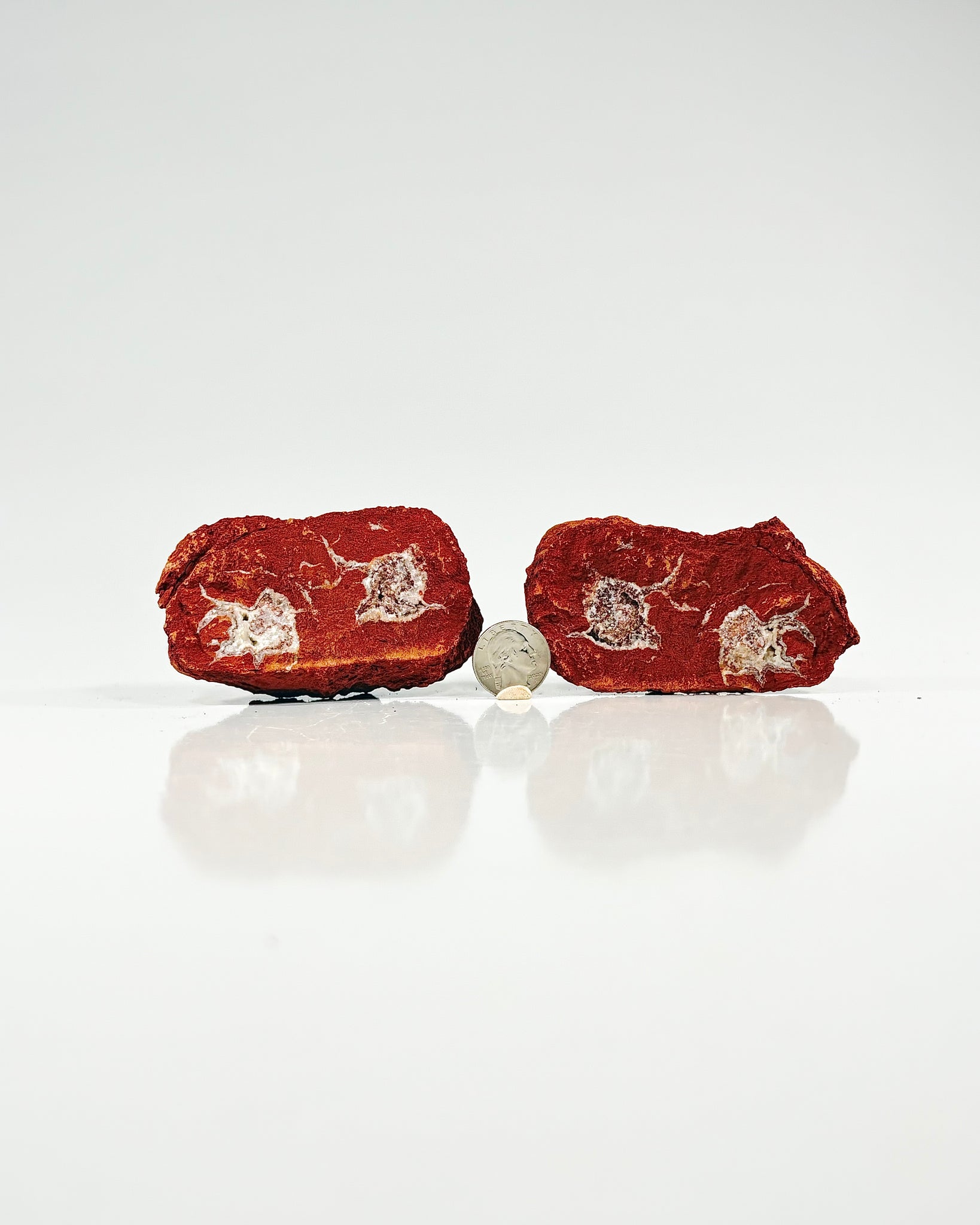 Mangano "OMGites" (OK Mud Balls) Pair