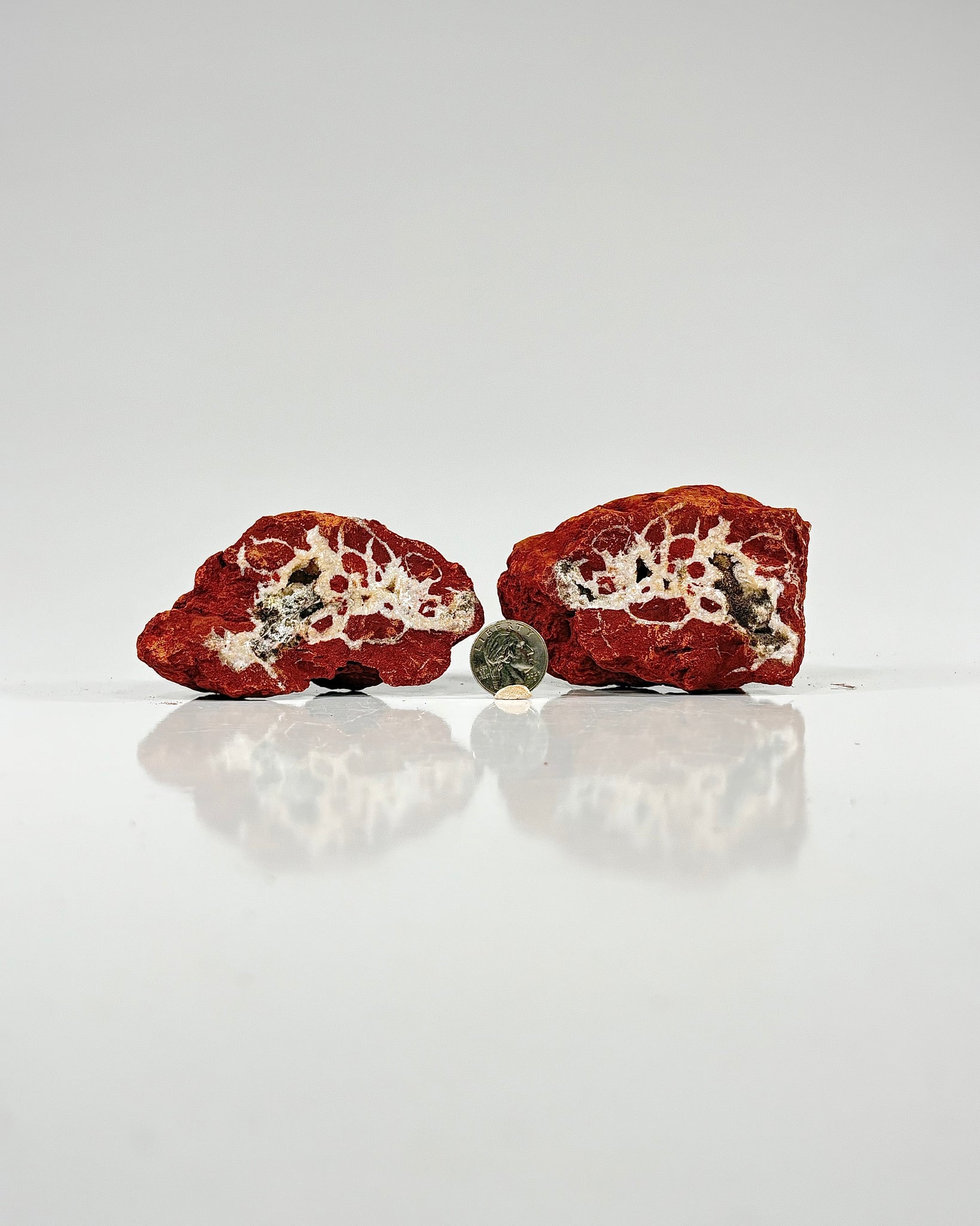 Mangano "OMGites" (OK Mud Balls) Pair