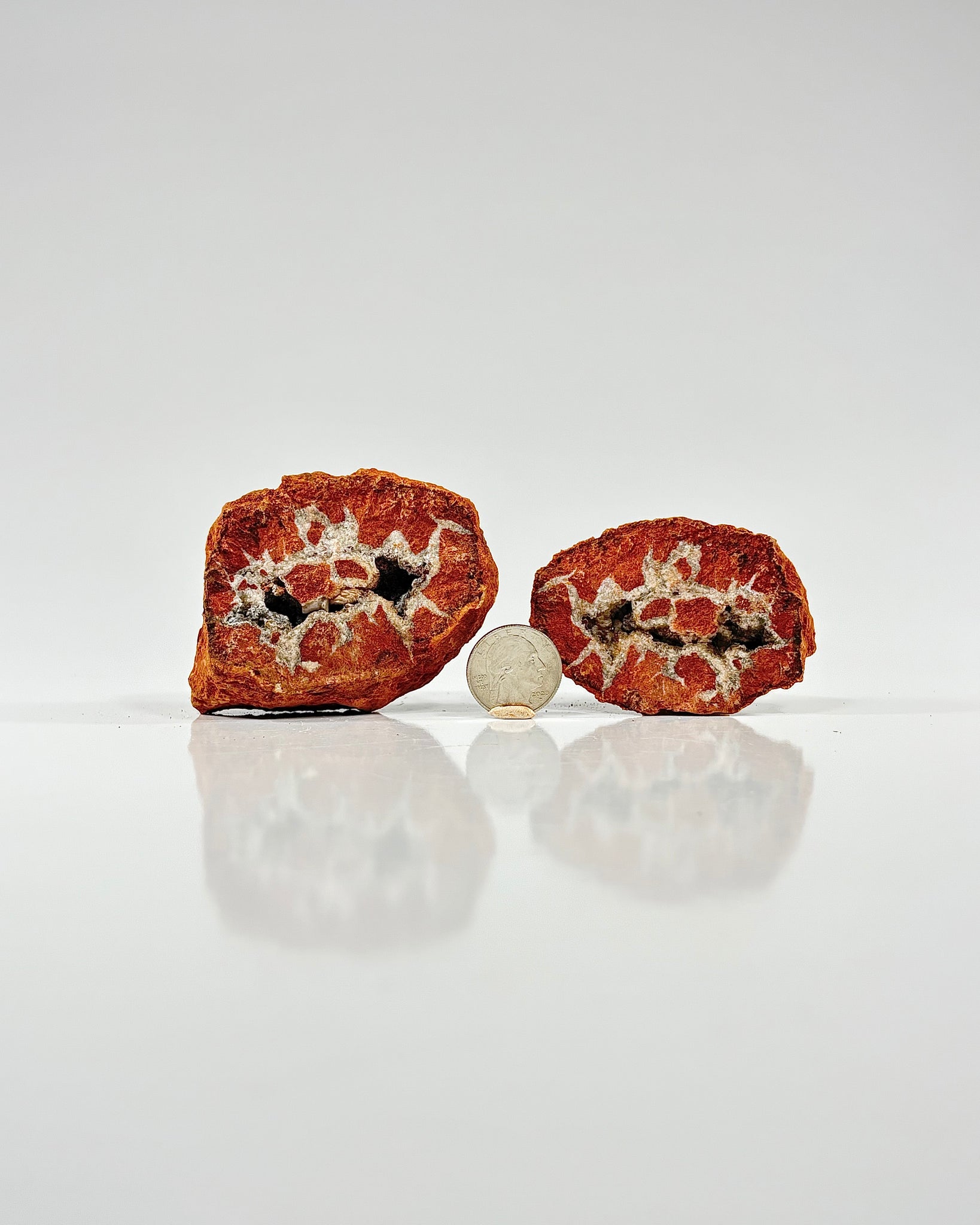 Mangano "OMGites" (OK Mud Balls) Pair