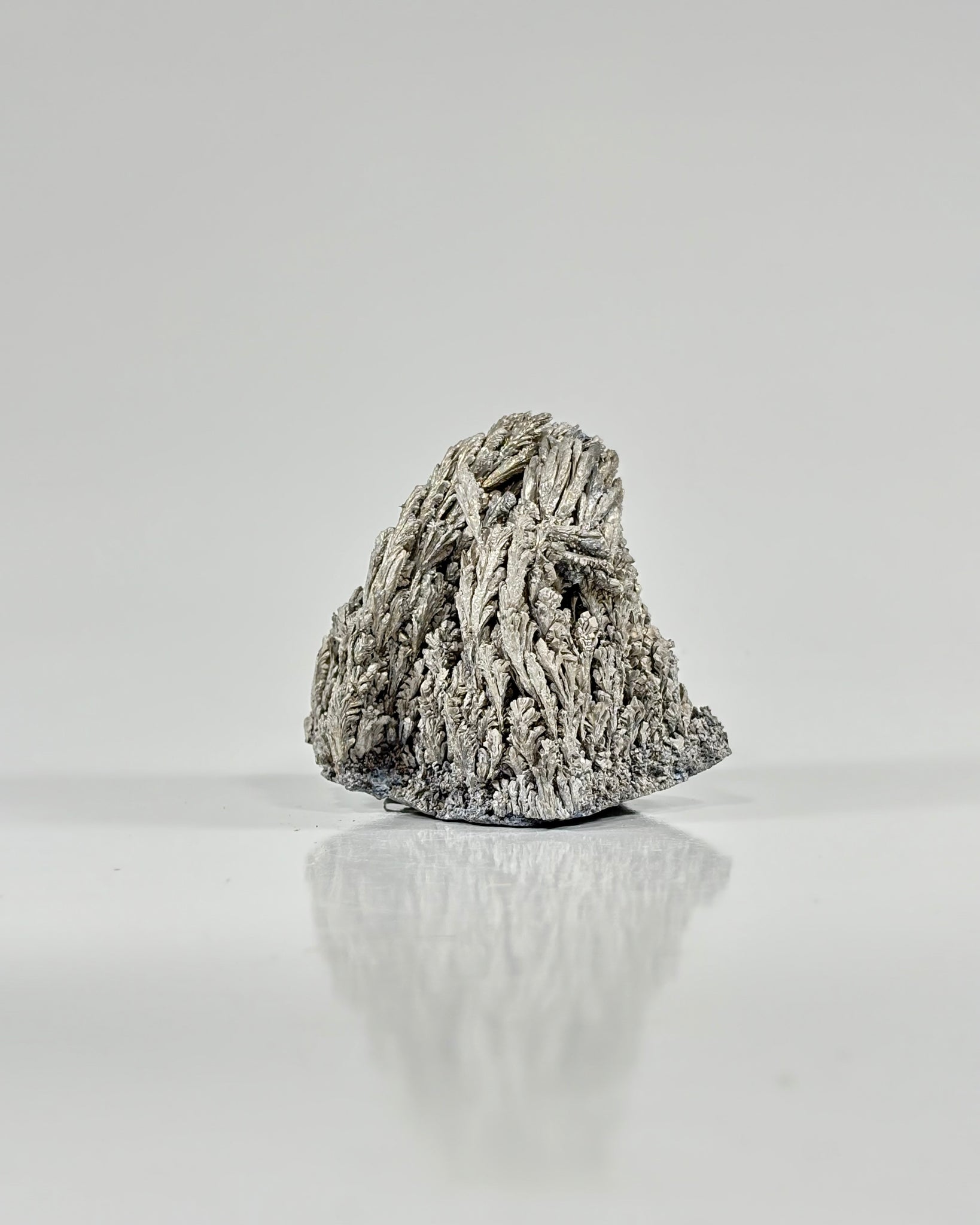 Magnesium