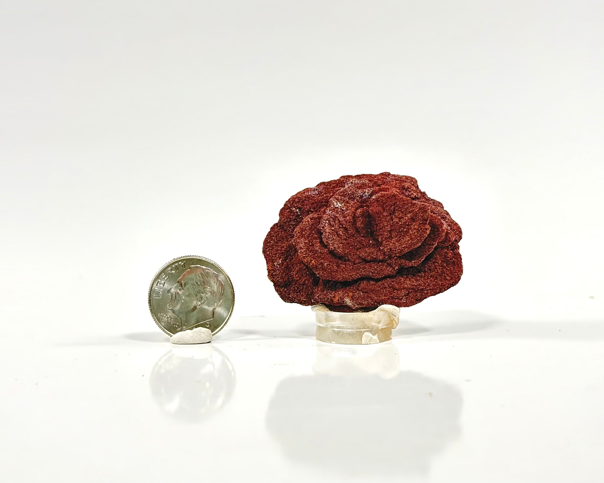 Ultra-Hematitic Barite Rose