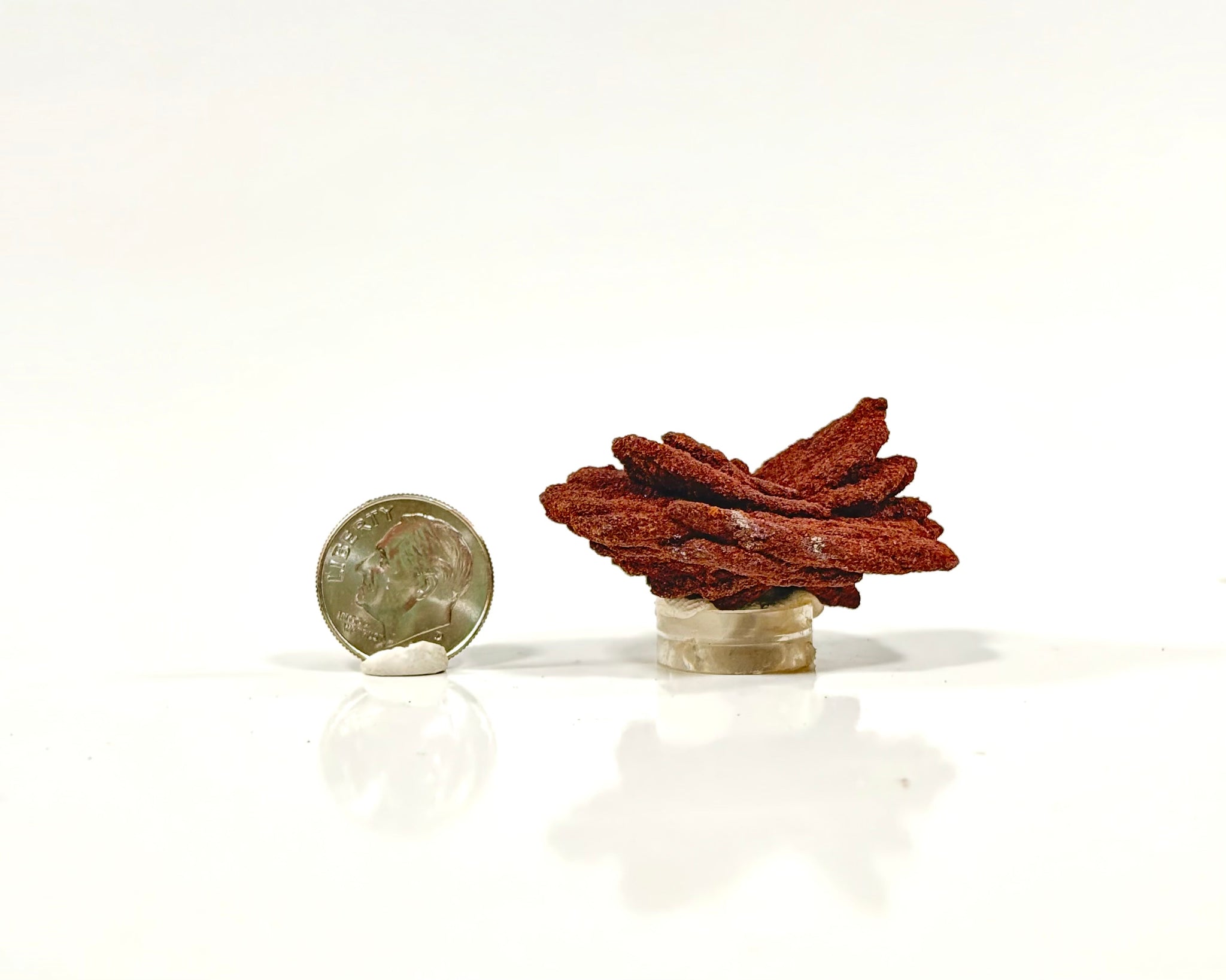 Ultra-Hematitic Barite Rose
