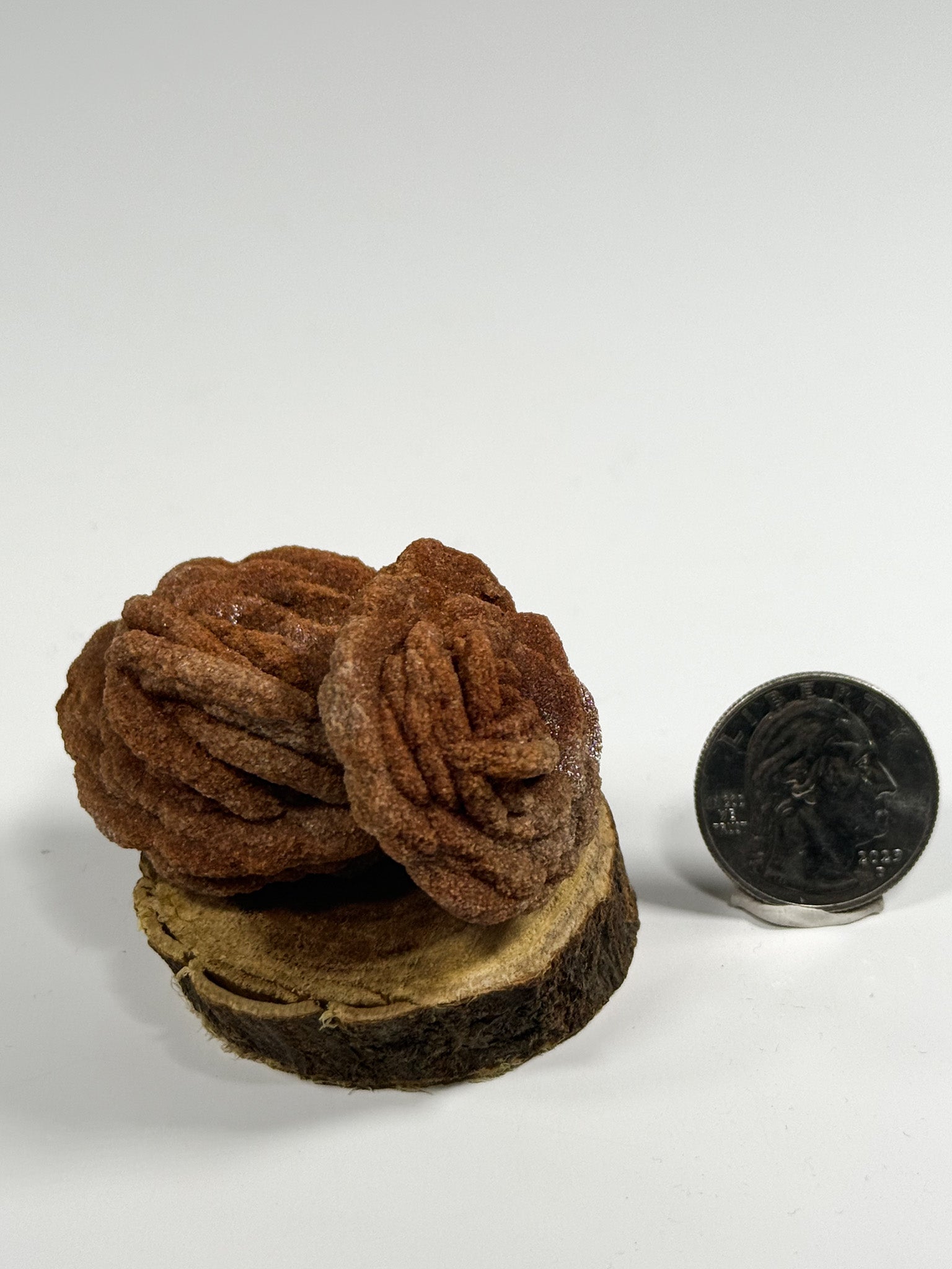 Double Barite Rose Rock