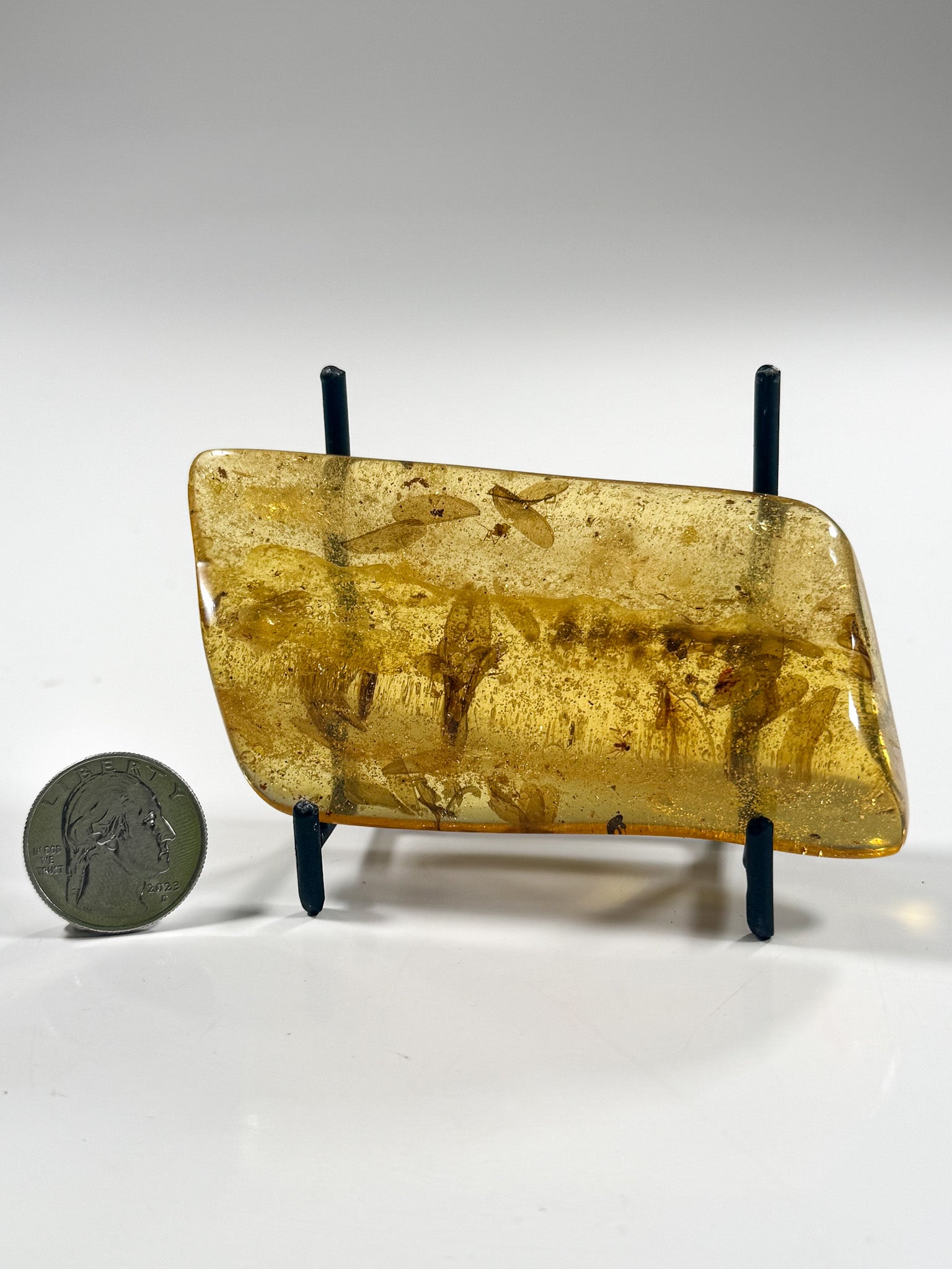 Good Earth Rocks Gallery: Amber