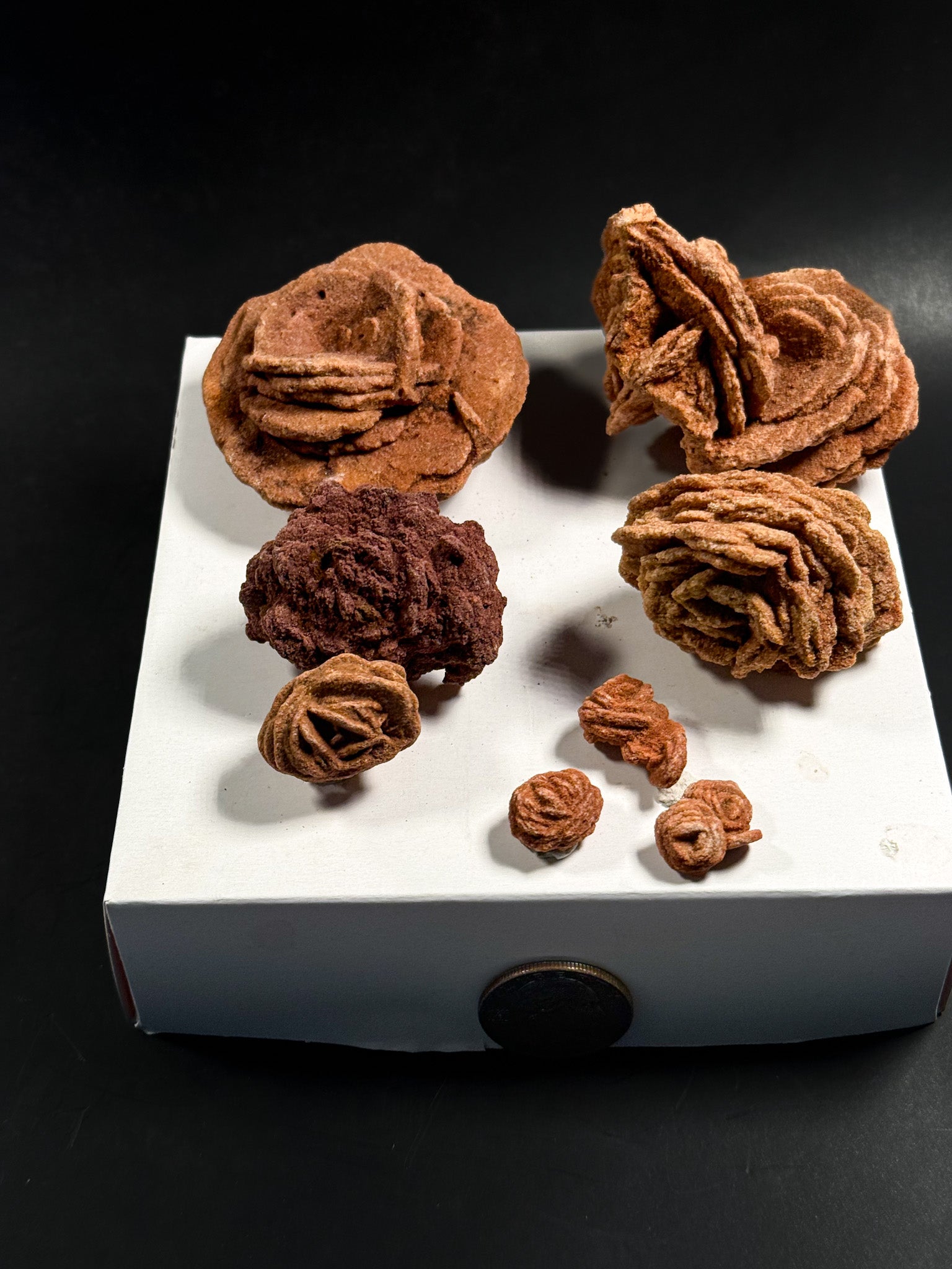 Barite Rose Rock Collection | Oklahoma