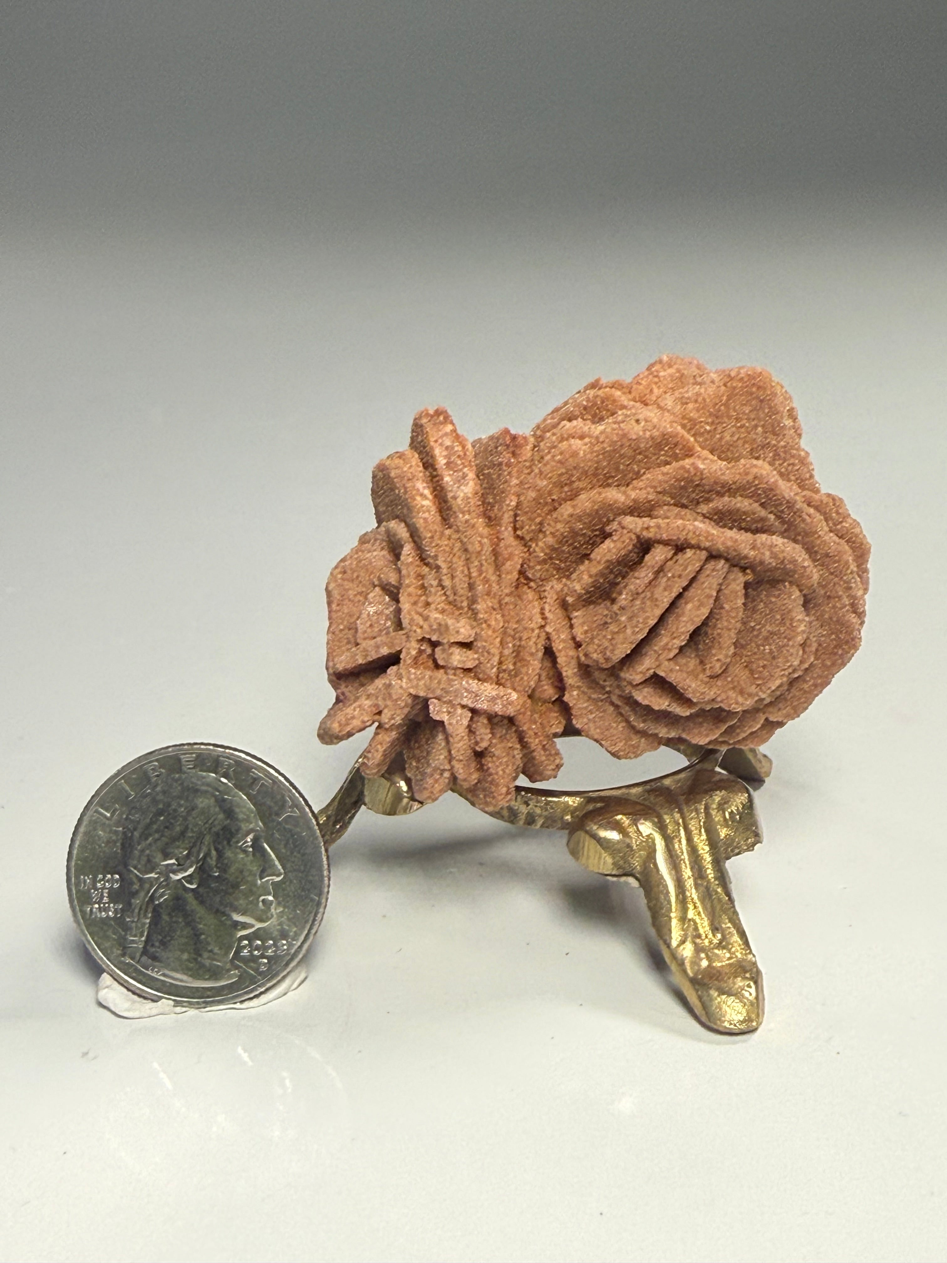 Barite Rose Rock Cluster | Oklahoma