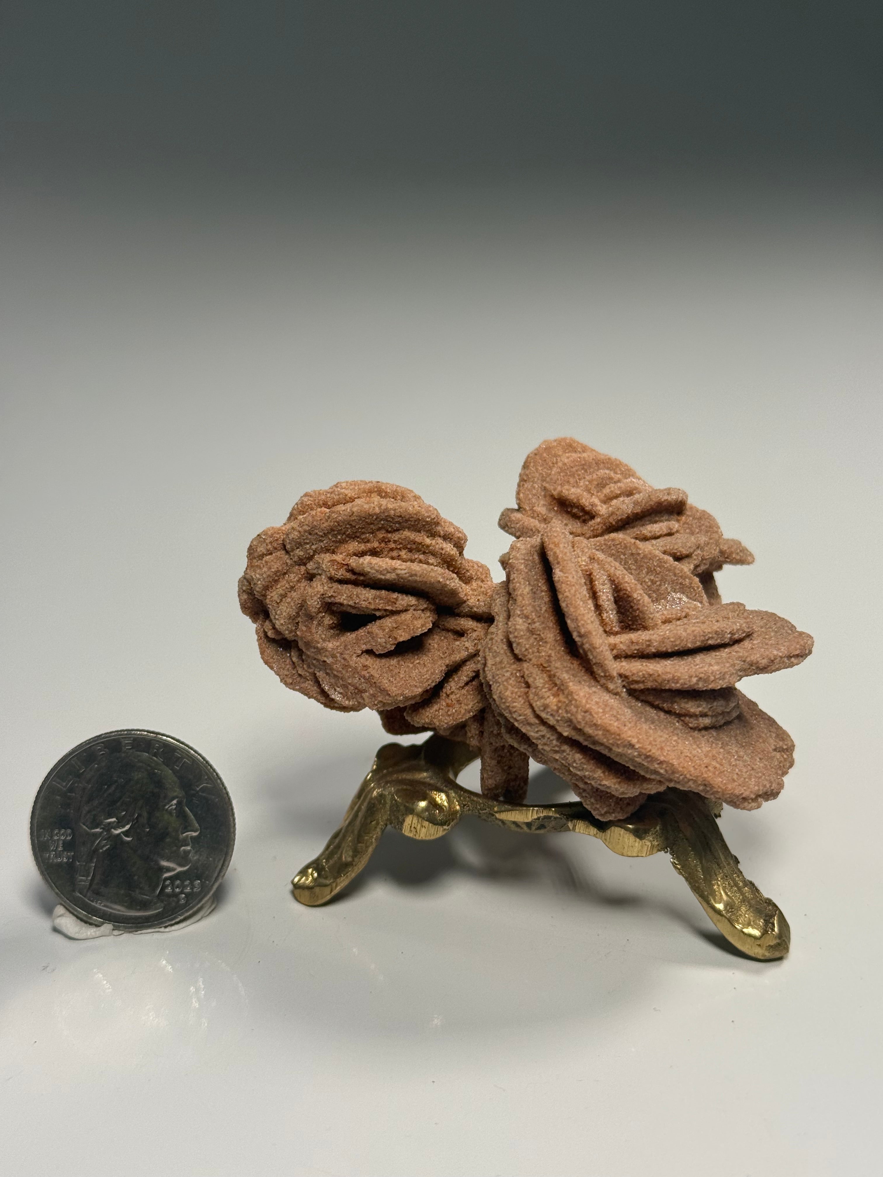 Barite Rose Rock Cluster | Oklahoma