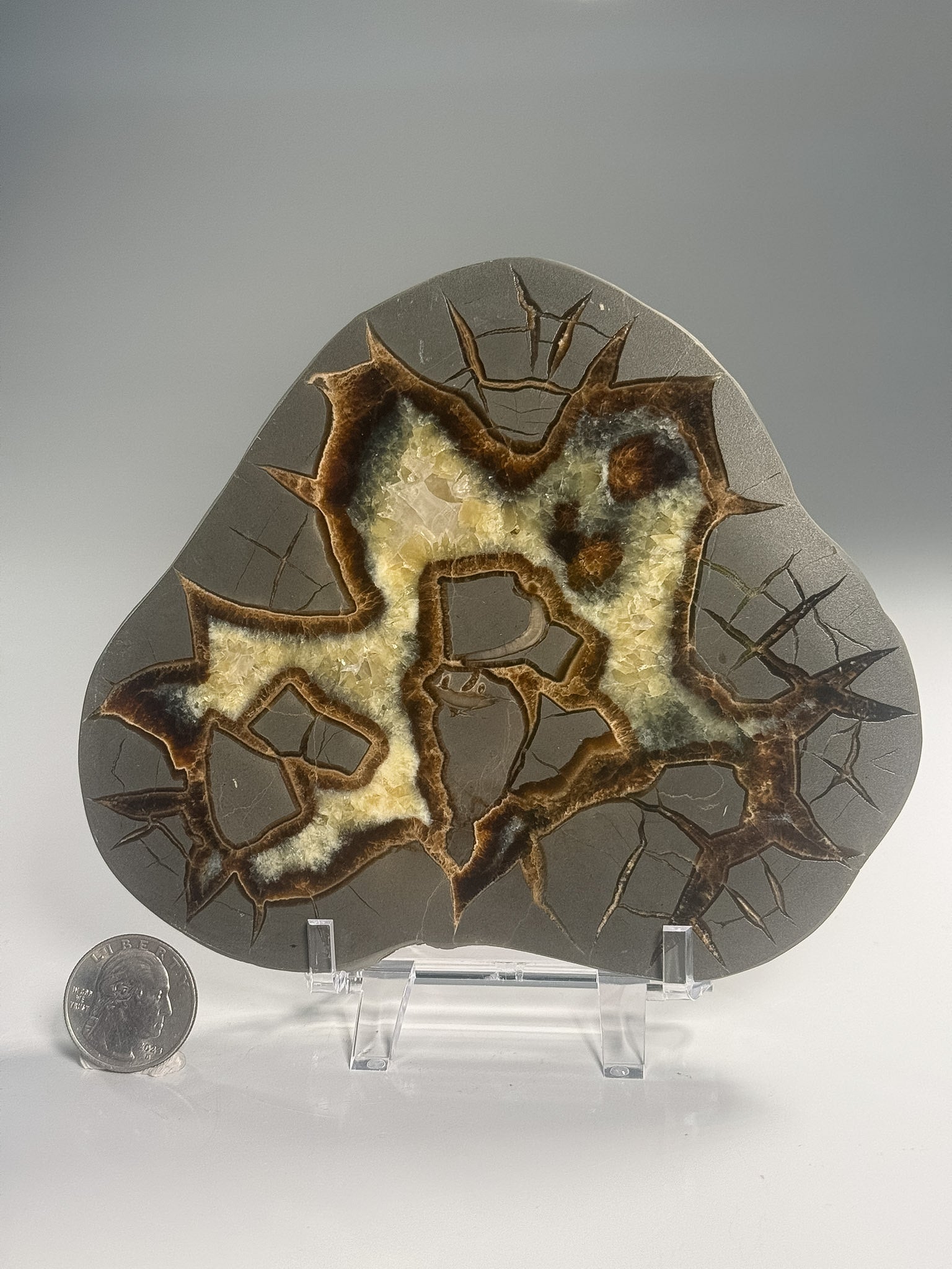 Septarian
