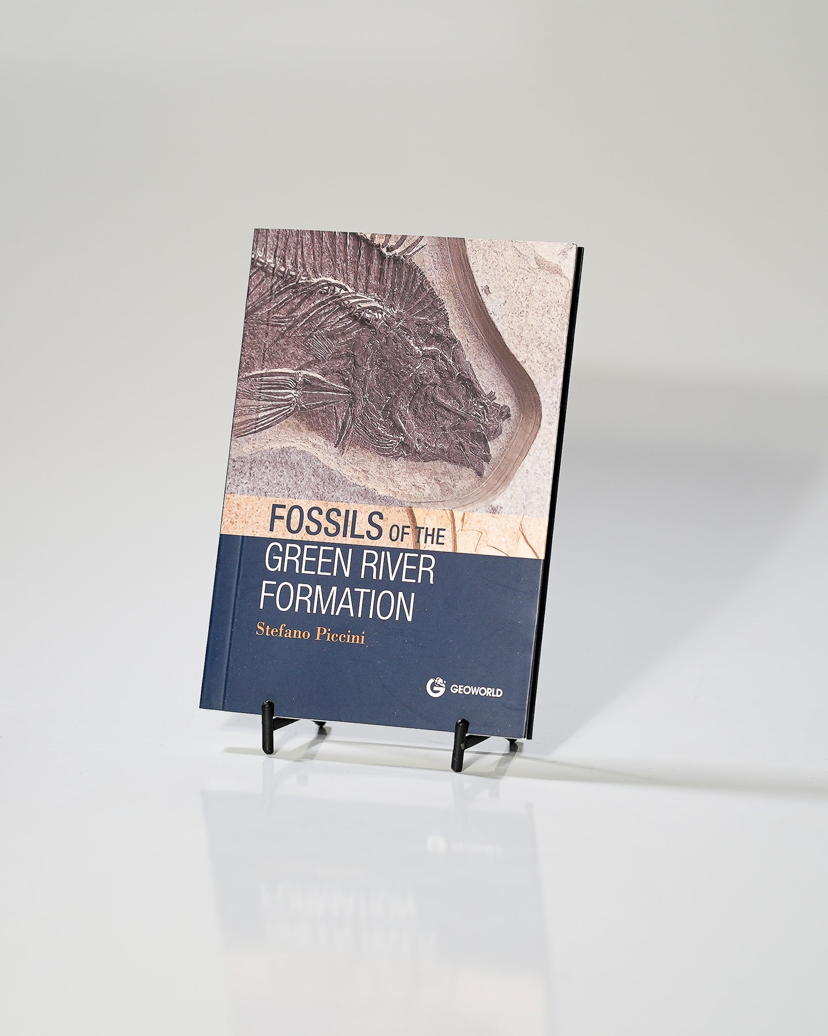 Fossils of the Green River Formation Educational Book