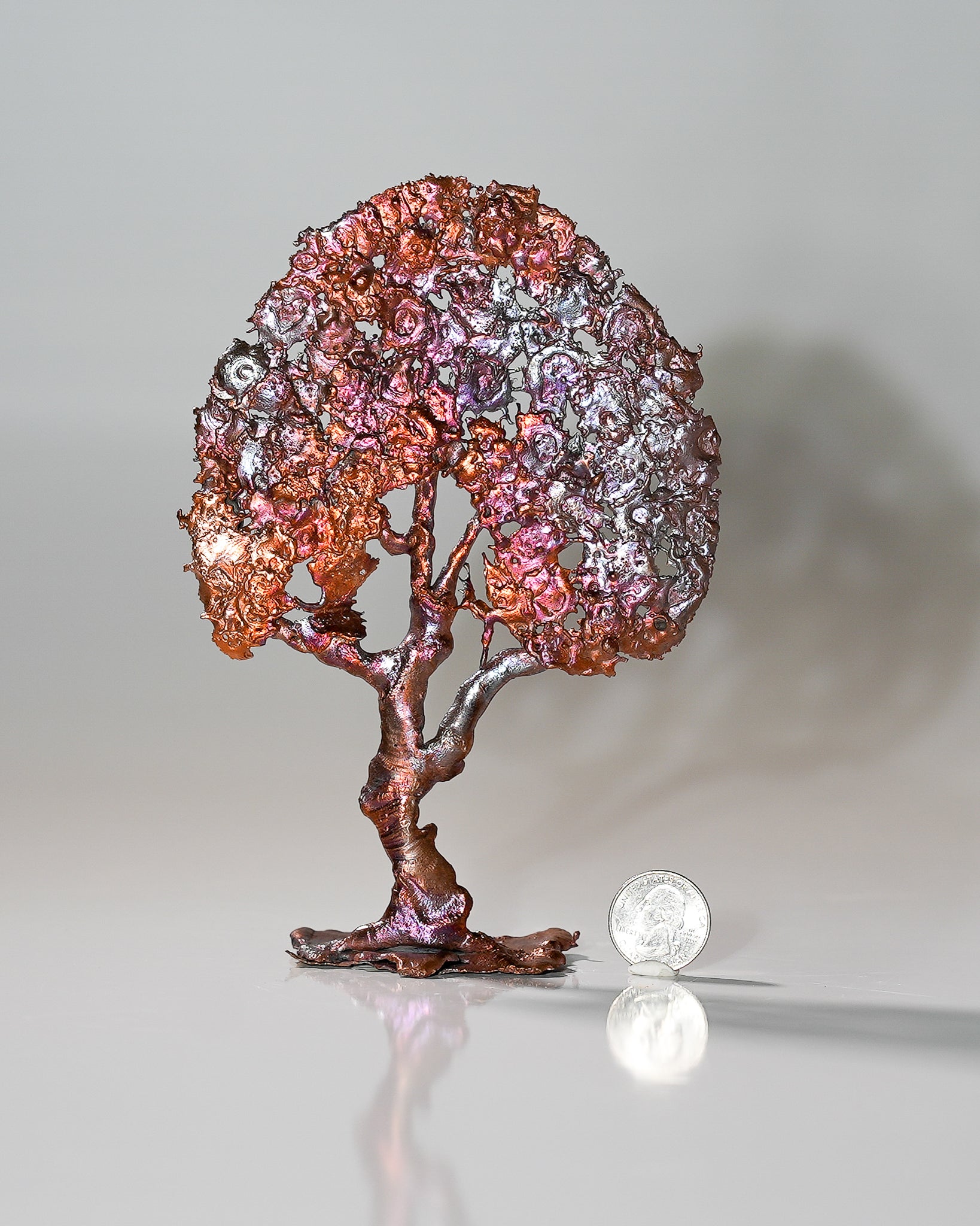 Small Copper Splash Tree