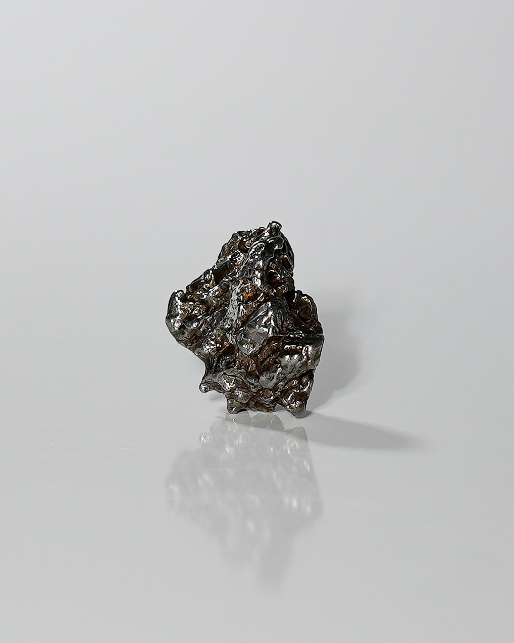 Meteorite Specimen - Campo