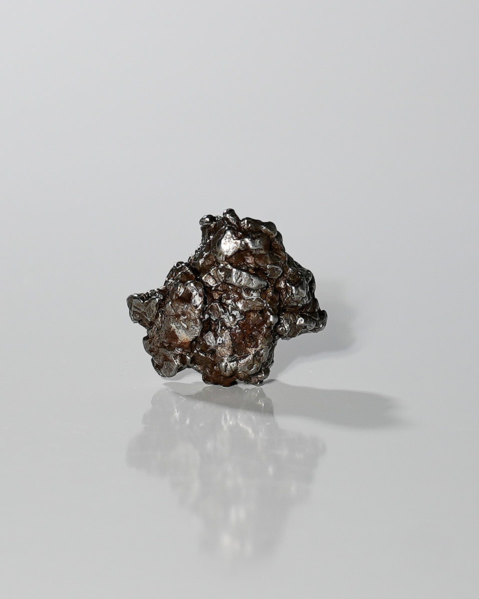 Meteorite Specimen - Campo