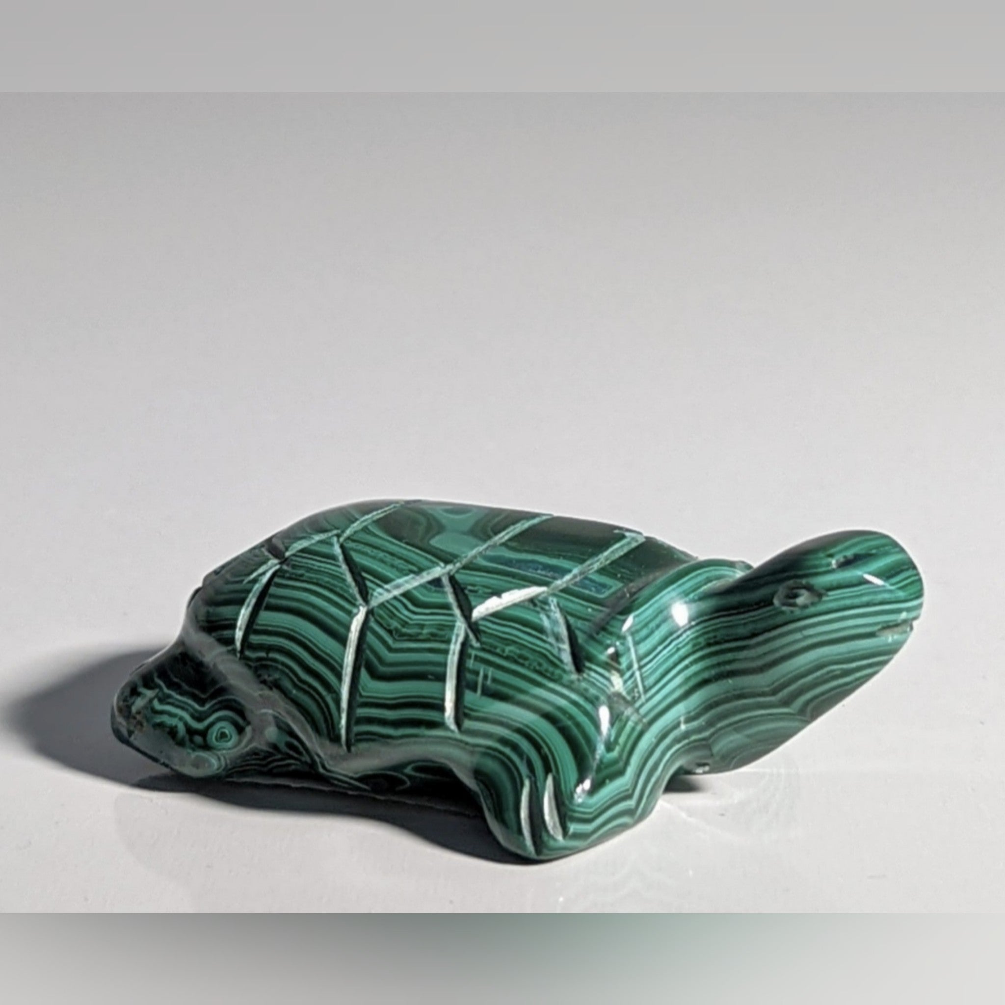 Deep Green Carved Malachite Turtle