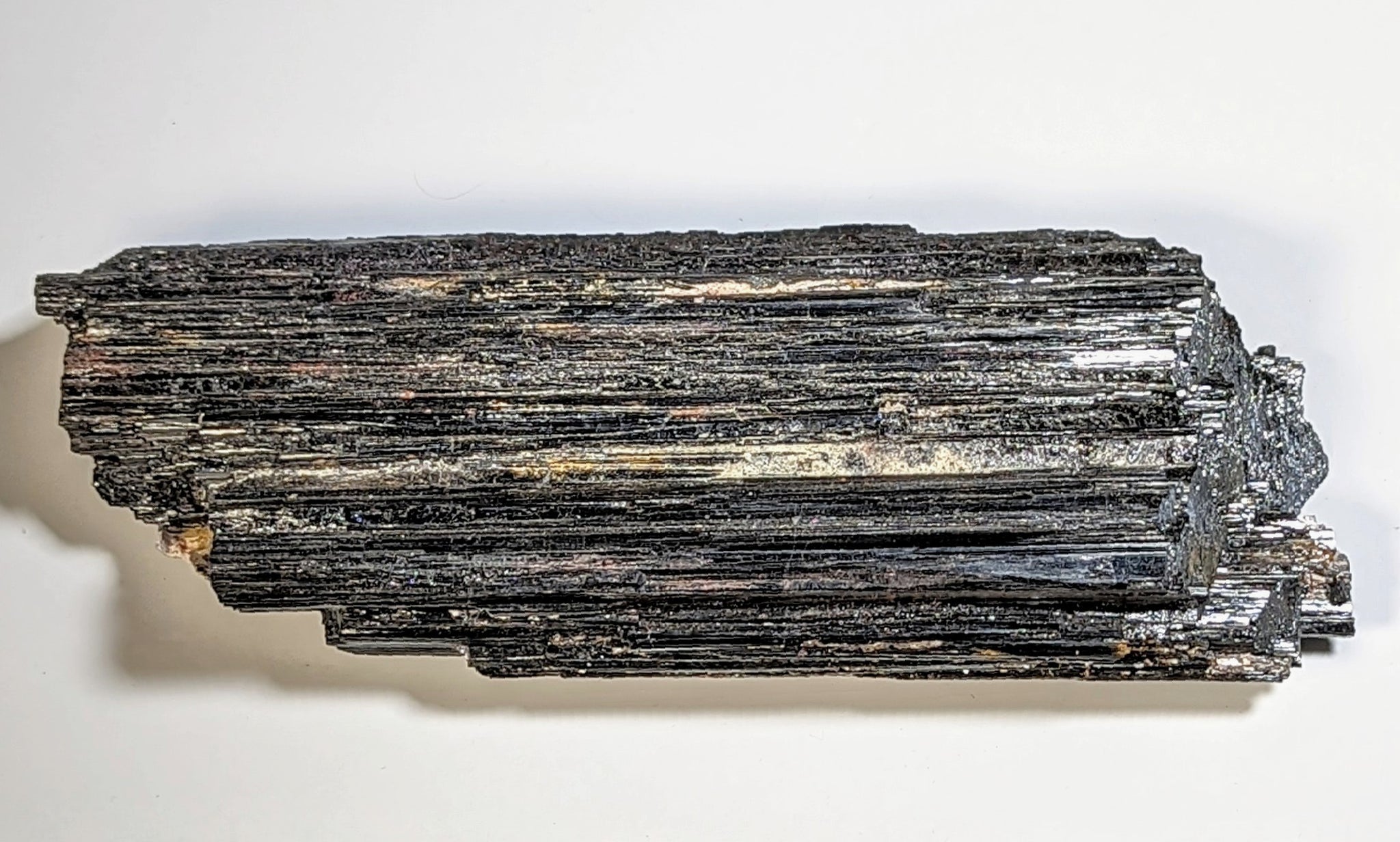 Black Tourmaline L